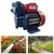 Crompton 0.5 HP Single Phase Self Priming Monoblock Pump, 69ft Max. Head, 25X25mm (CHAMP PLUS II) - 1 Year Warranty
